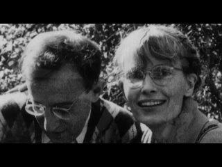 zelig (1983) - comedy. woody allen