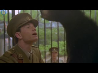 a bear named winnie (2004) - drama, military. john kent harrison