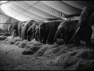 artists under the dome of the circus: heleless (1968) - drama. alexander kluge 720p