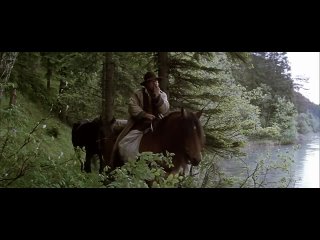 bear (1988) - drama, adventure. jean-jacques annaud