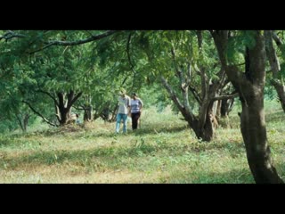 uncle bunmi who remembers his past lives (2010, thailand) - fantasy, drama. apichatpong weerasethakul