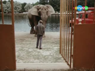 boba and the elephant (1972) - family film. august baltrushaitis