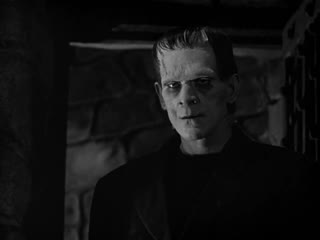 frankenstein (1931) - horror, fantasy, drama, film adaptation. james whale 1080p